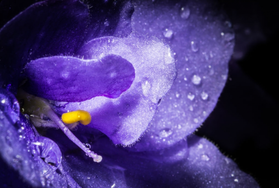 NORMAL-iStockPhoto-1148614517