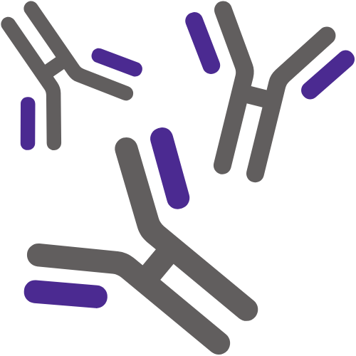 Immunology Proton Med