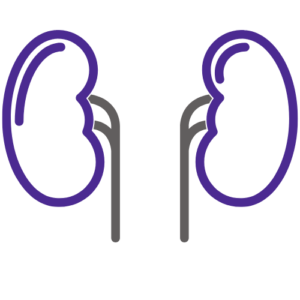 Nephrology Proton Med